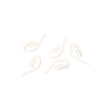 Plastic Pin Hook (Hook Type 1) – 200 pc/bag-WHT